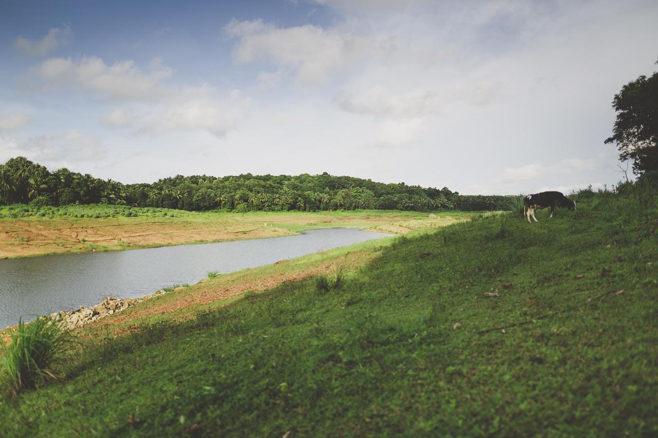 Riverine Springs Wadakkanchery Exterior photo